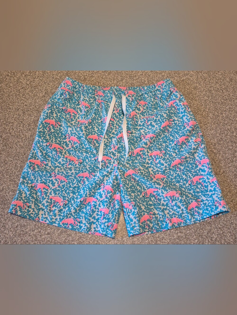Boys Chubbies Swim Trunks Size Large